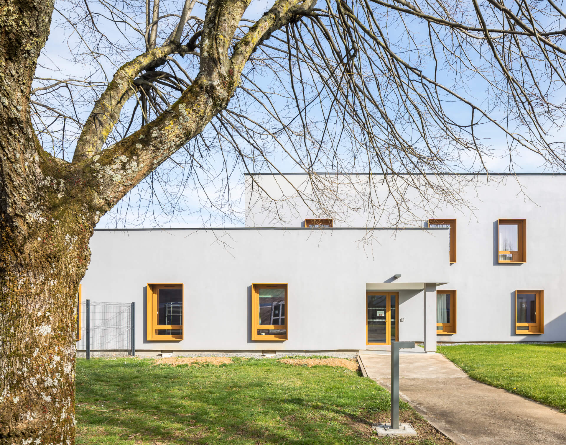 - | BVL Architecture