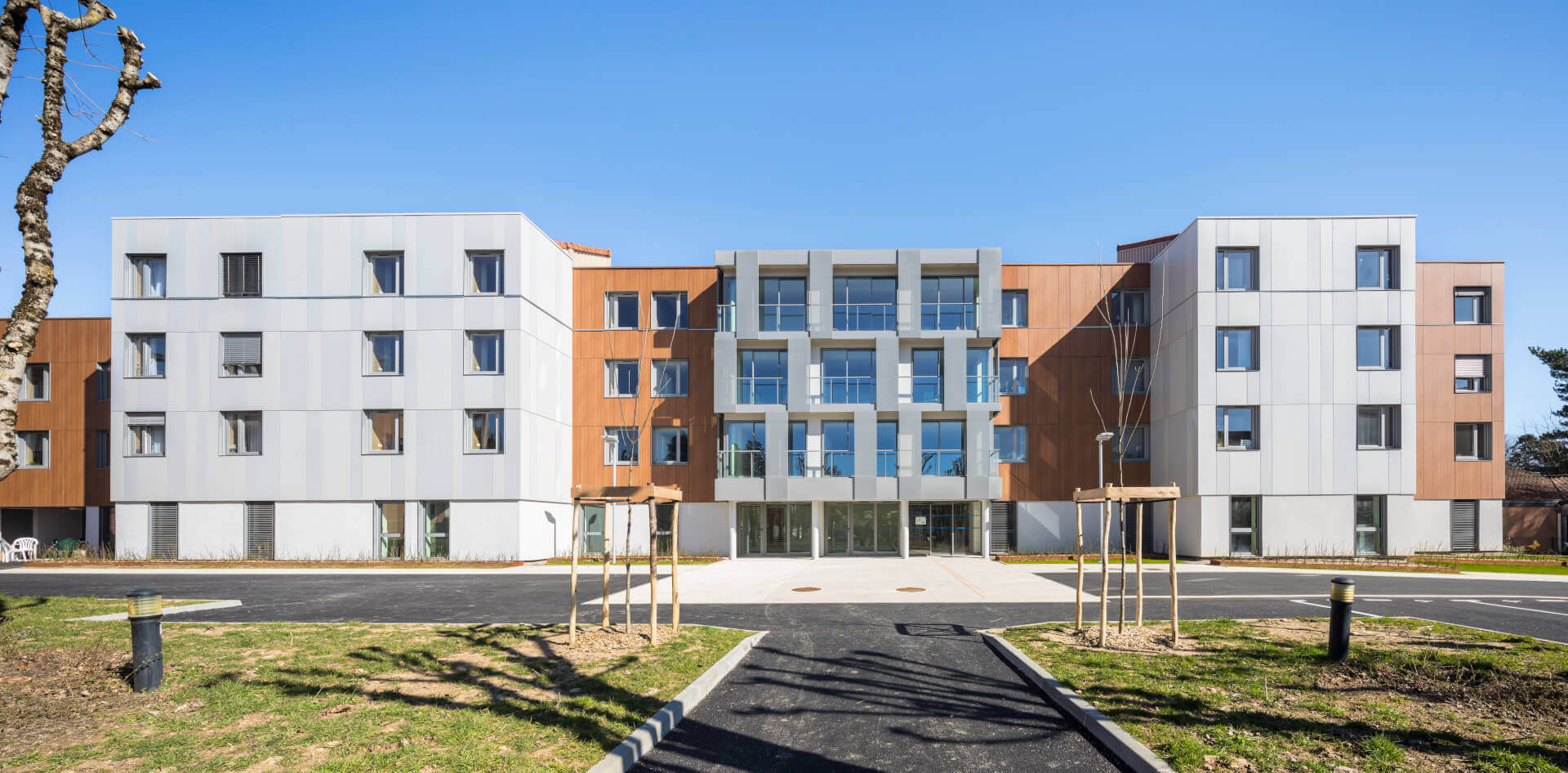 - | BVL Architecture