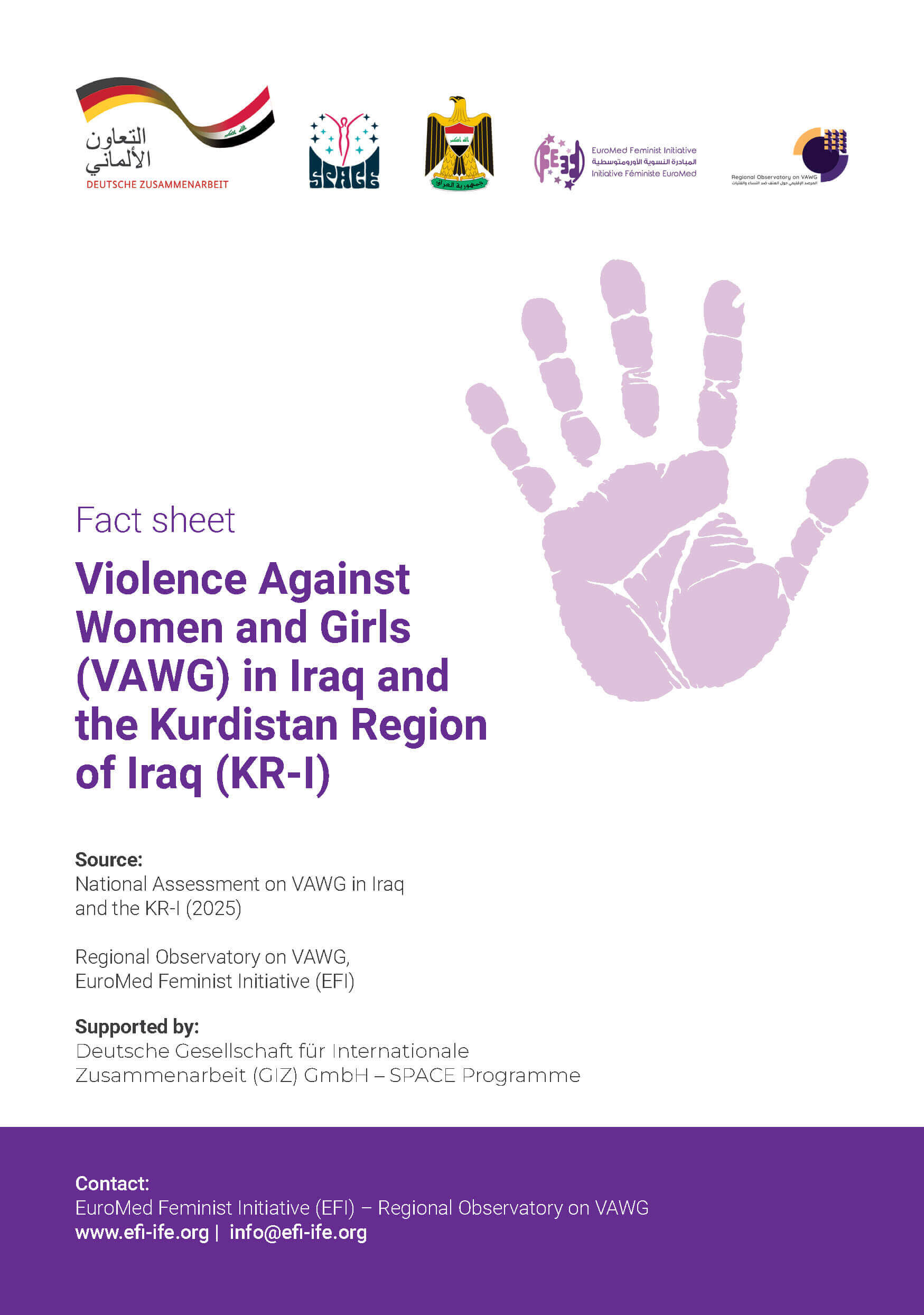 Fact Sheet: Violence Against Women and Girls (VAWG) in Iraq and the Kurdistan Region of Iraq (KR-I) | EFI - EuroMed Feminist Initiative