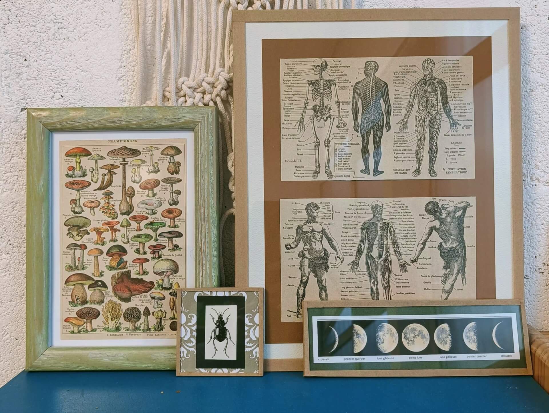 ATELIER / Encadrement / 5€ | La Venelle