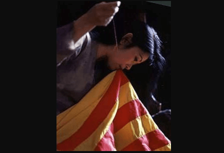 Cờ vàng từ biểu tượng chính trị đến giá trị văn hóa của người Việt | Vietnam Fraternité