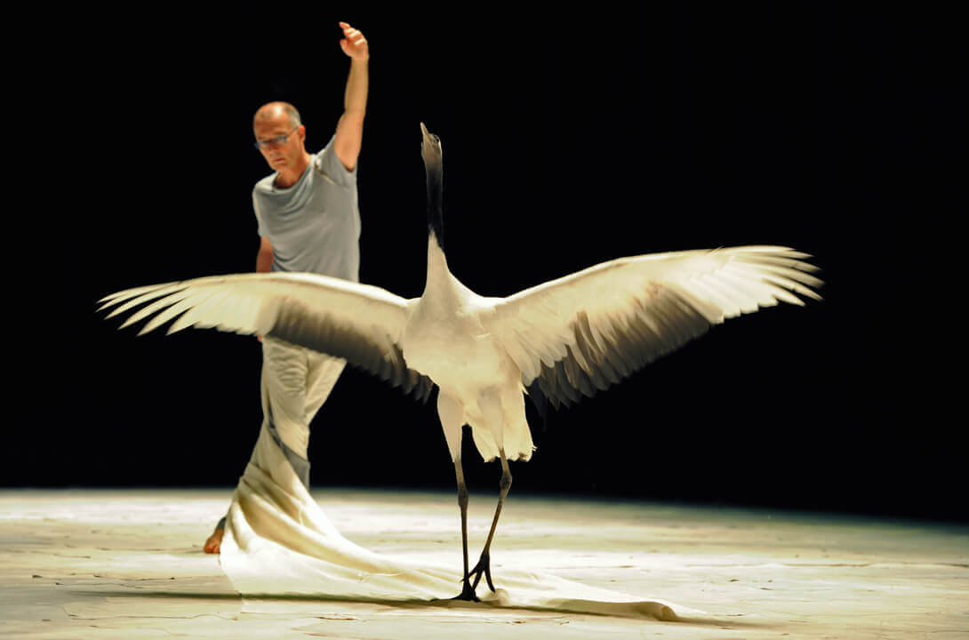 FORMATION PRO - En-corps des oiseaux | La Réplique