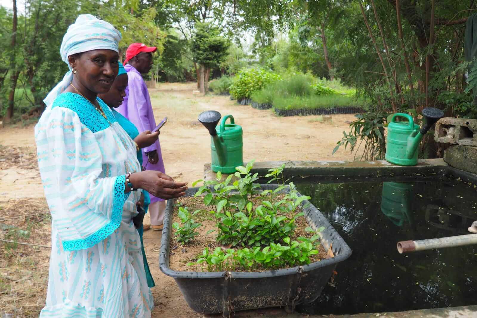 CoopTerre à Dakar : une semaine dédiée à la pépinière communautaire de l’écoquartier cité FSH | Coopterre