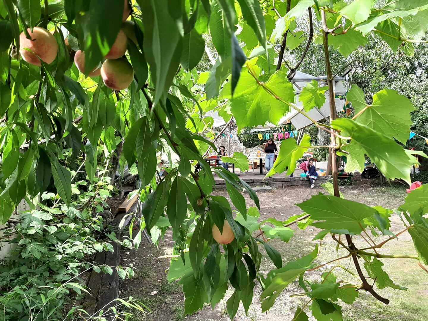 Lezarts Dans Les Murs