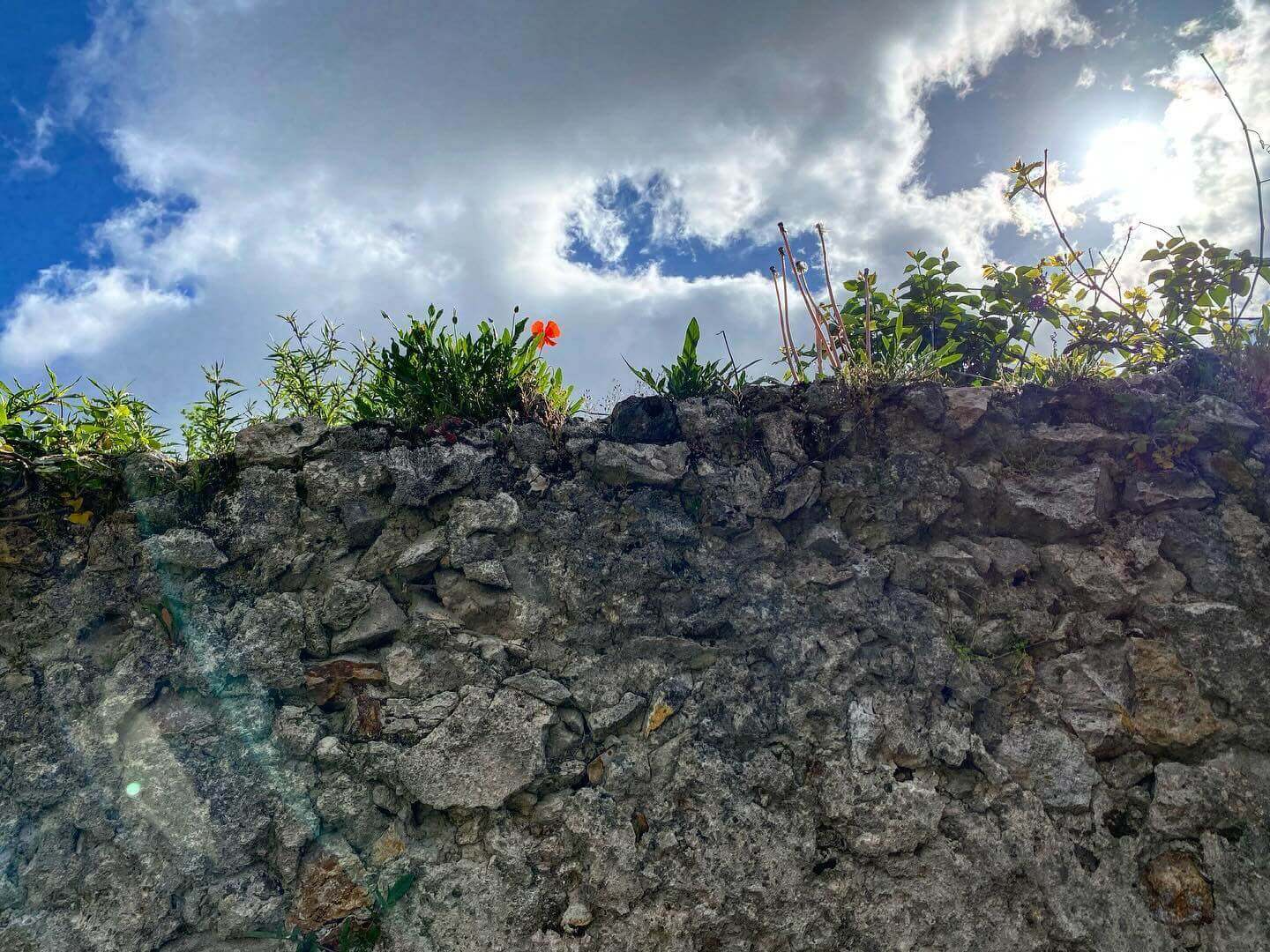 Lezarts Dans Les Murs