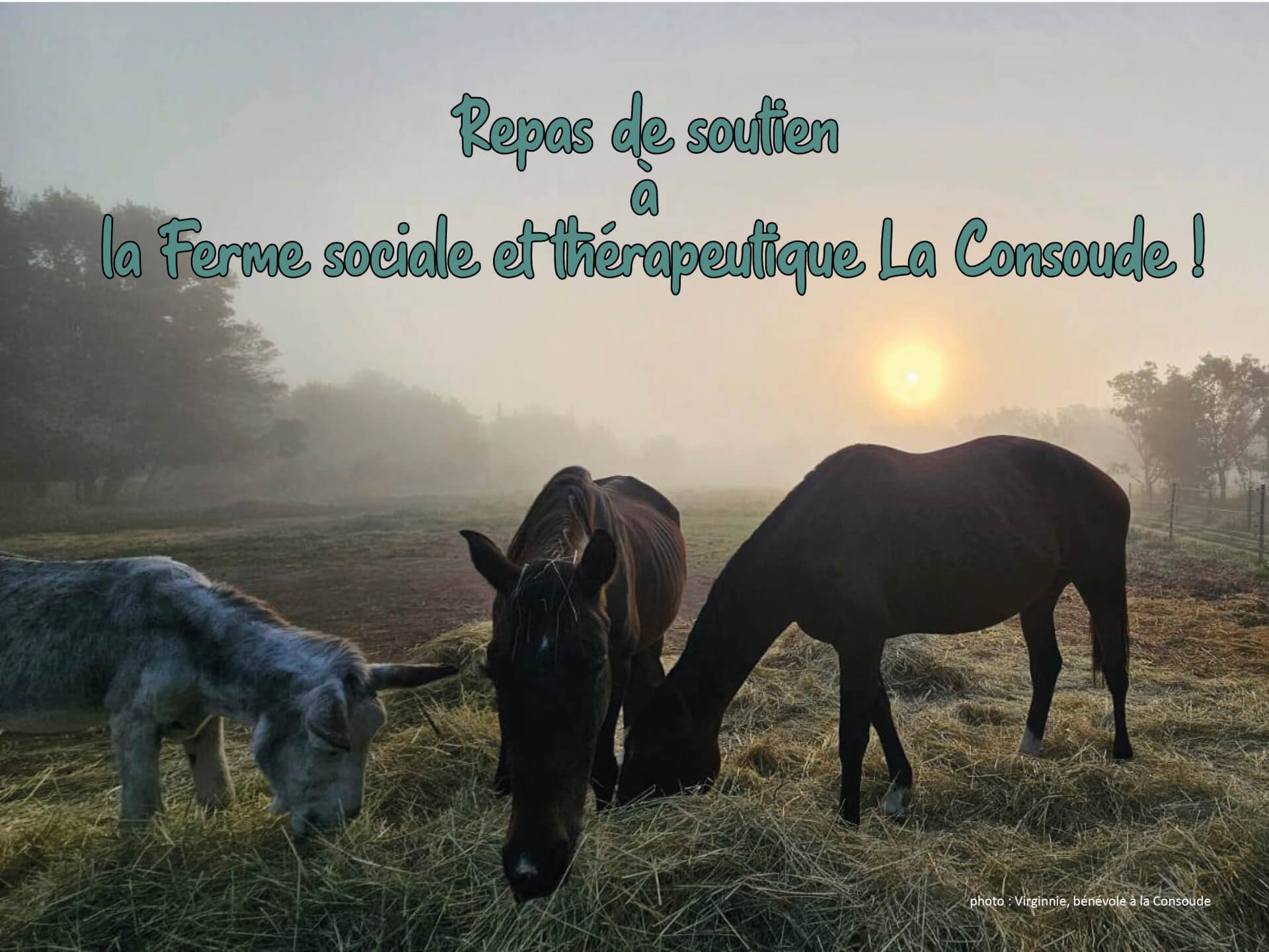 Repas de soutien  à la Ferme sociale et thérapeutique La Consoude ! | Au Maquis