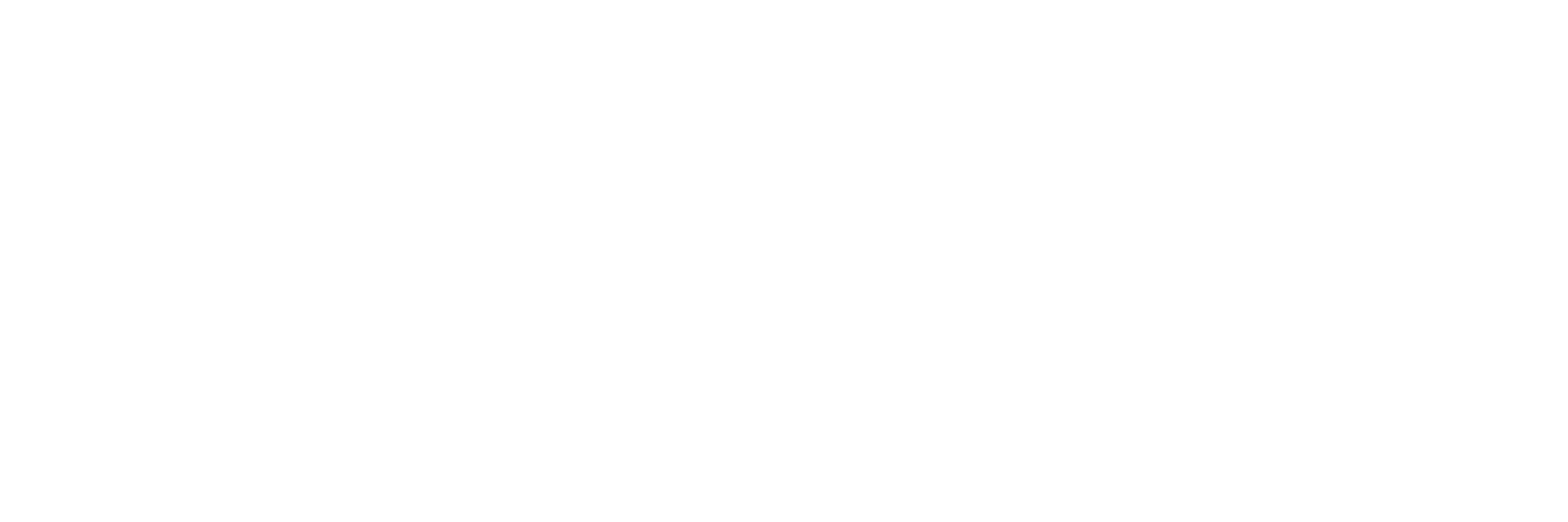 Logo BSE allongé blanc | Emmaüs Défi