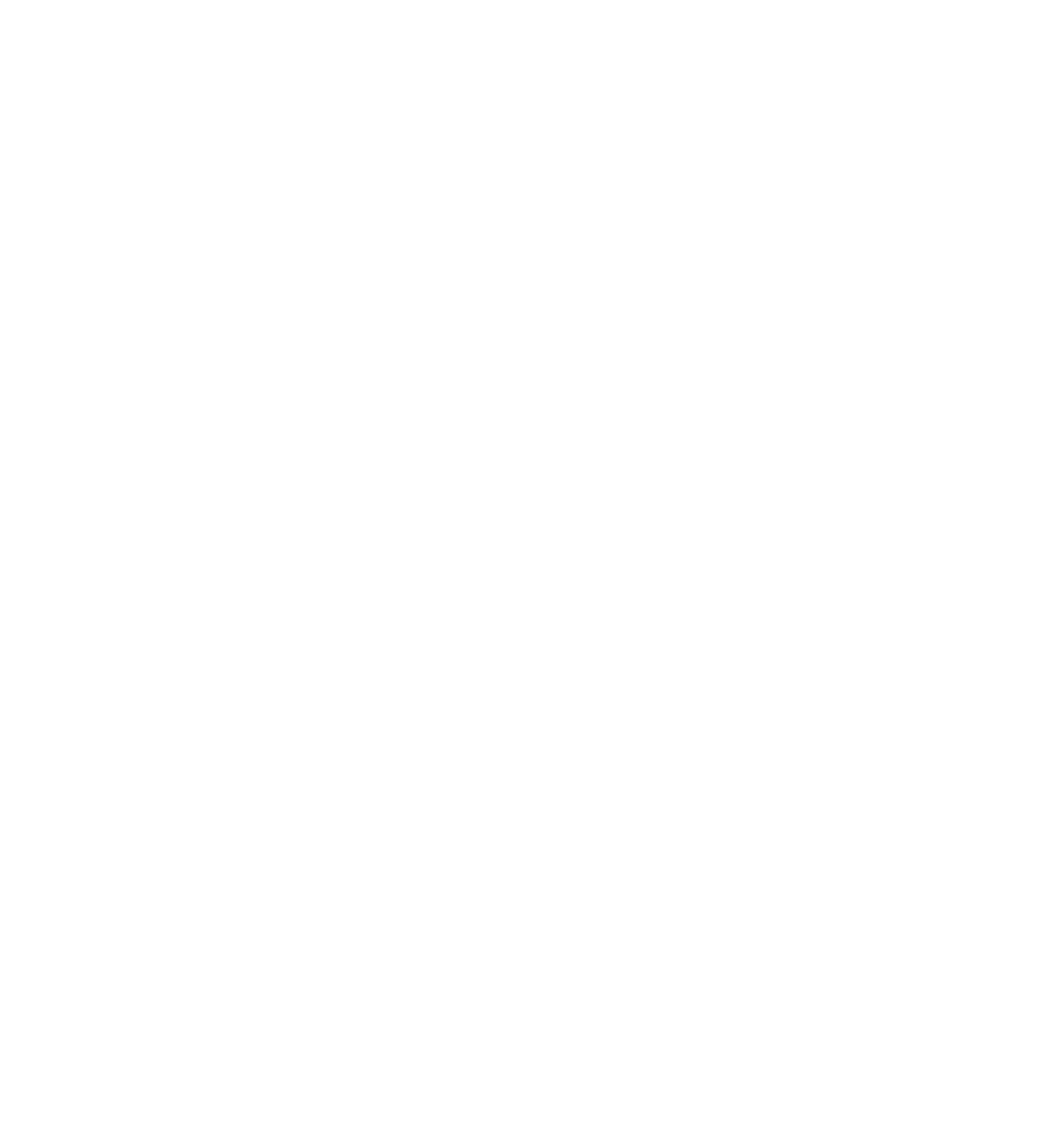 Logo BSE classique blanc | Emmaüs Défi