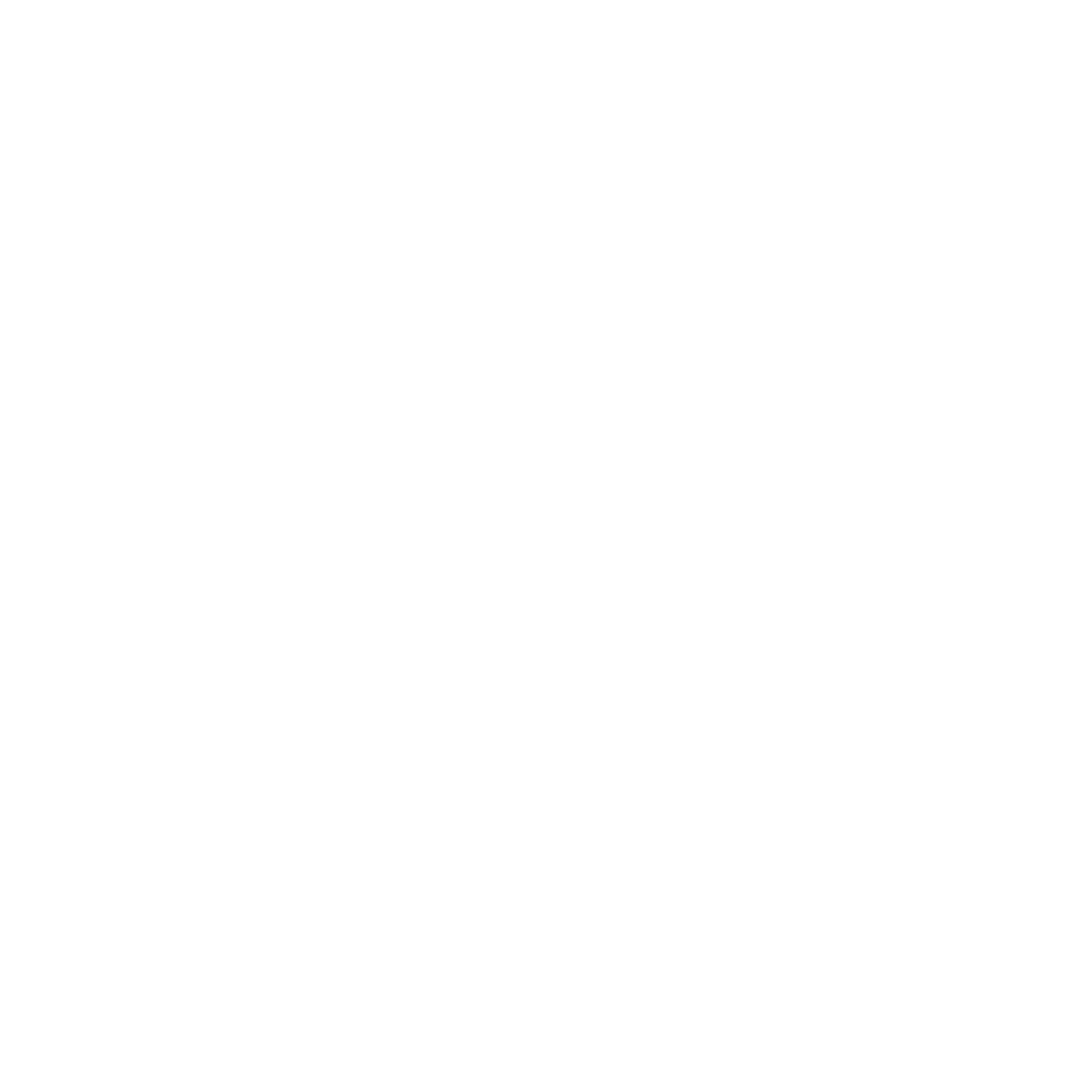 Logo BSE miniature réseau blanc | Emmaüs Défi