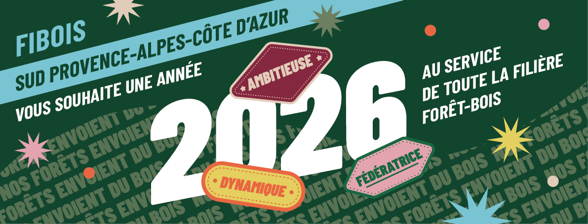 Bonne Année 2026 ! | Fibois Sud