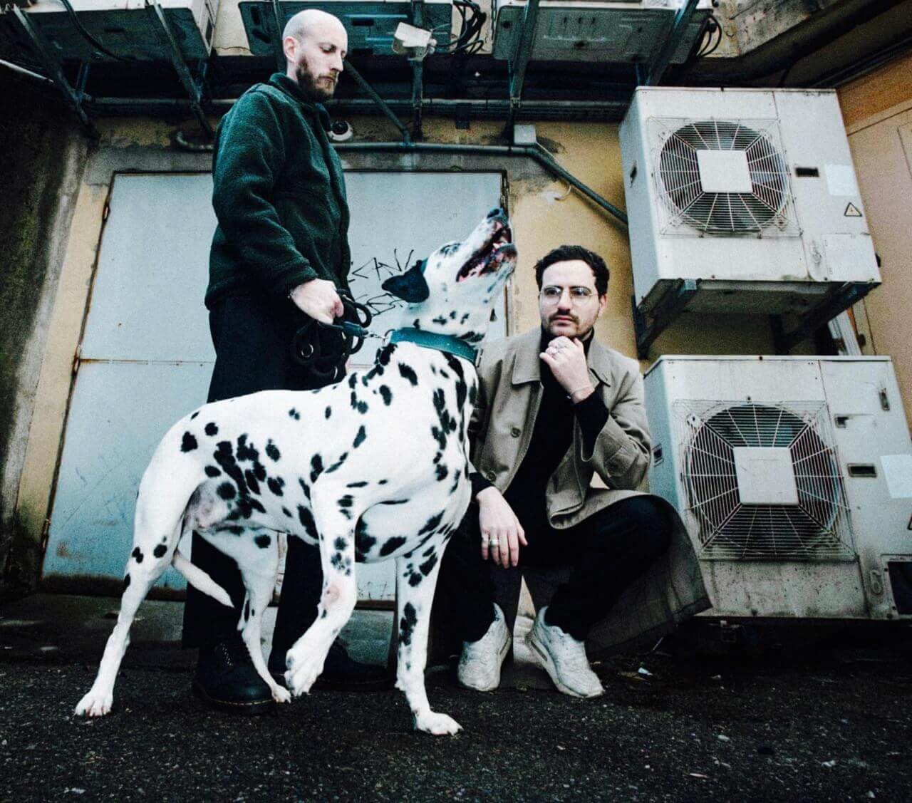 PARADOXICAL NOD | Star Wax Magazine