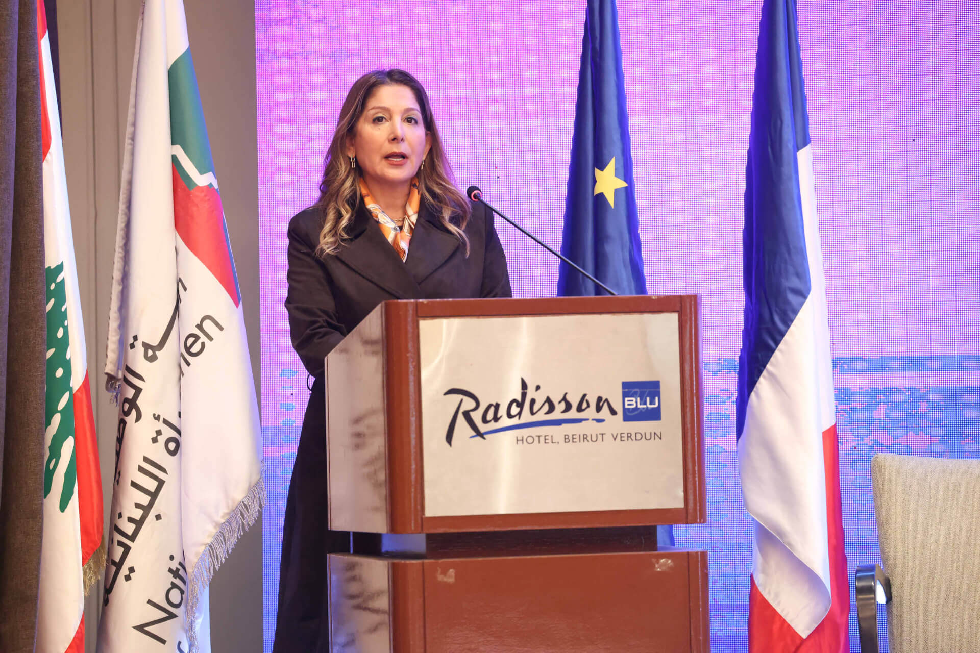 - | EFI - EuroMed Feminist Initiative