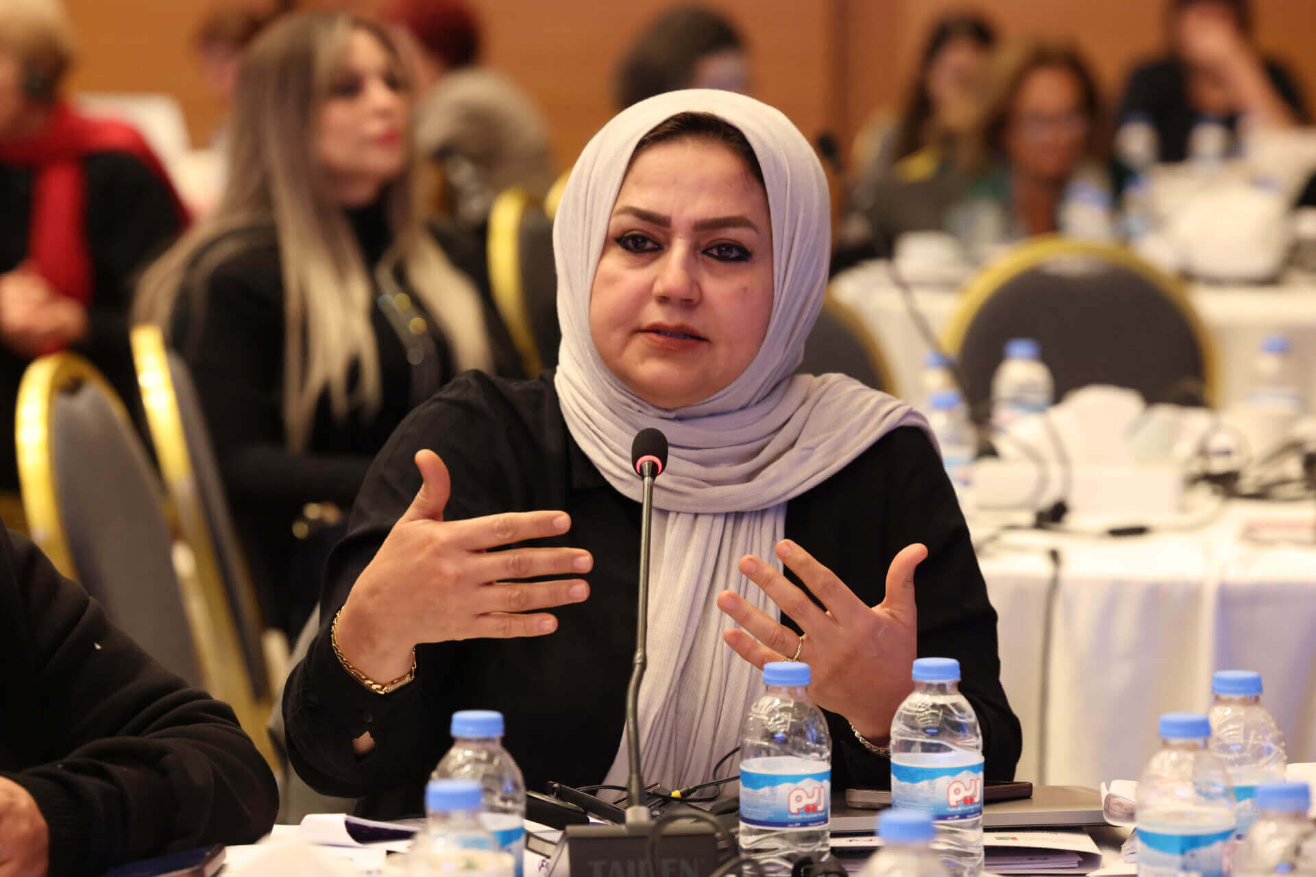 - | EFI - EuroMed Feminist Initiative