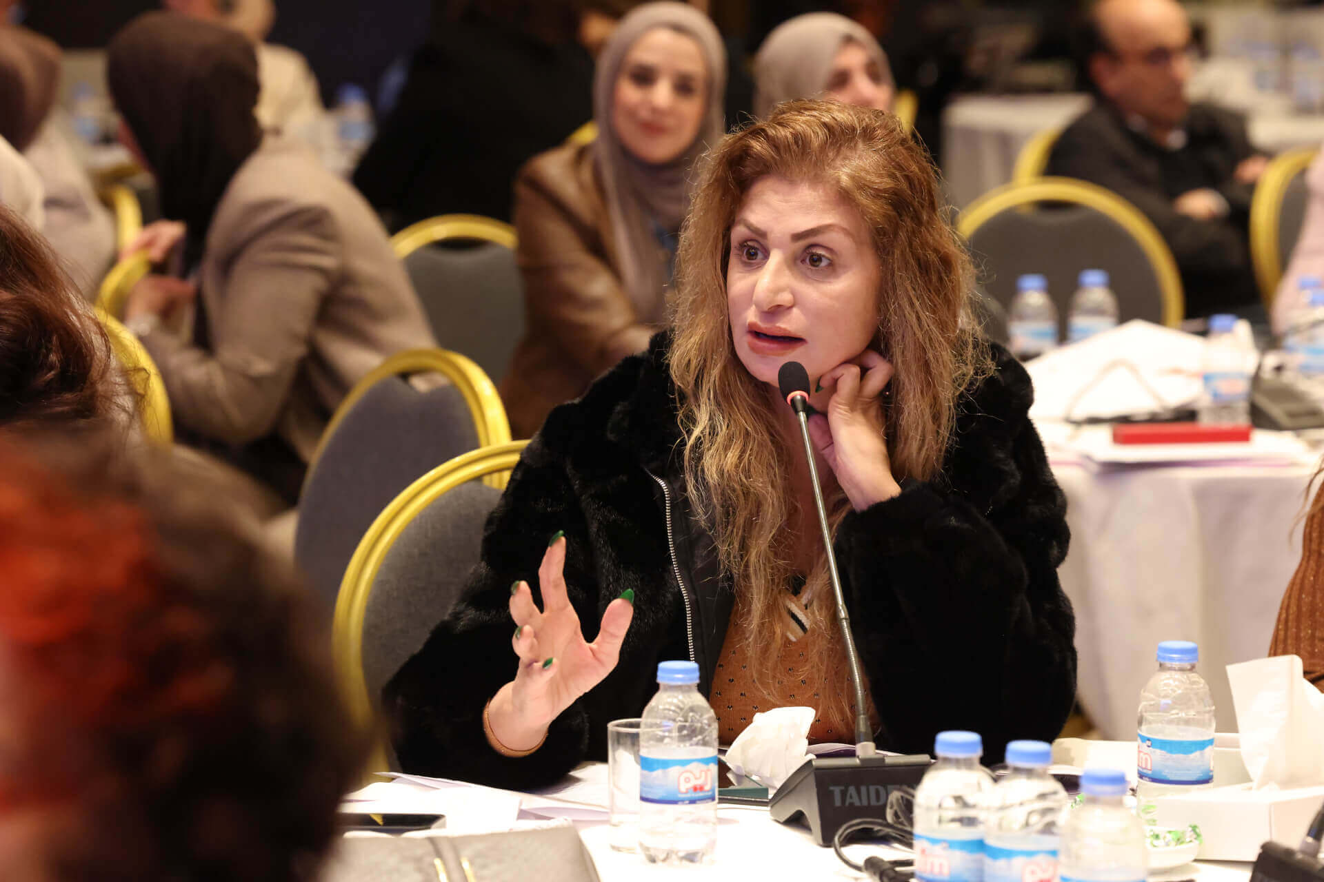 - | EFI - EuroMed Feminist Initiative