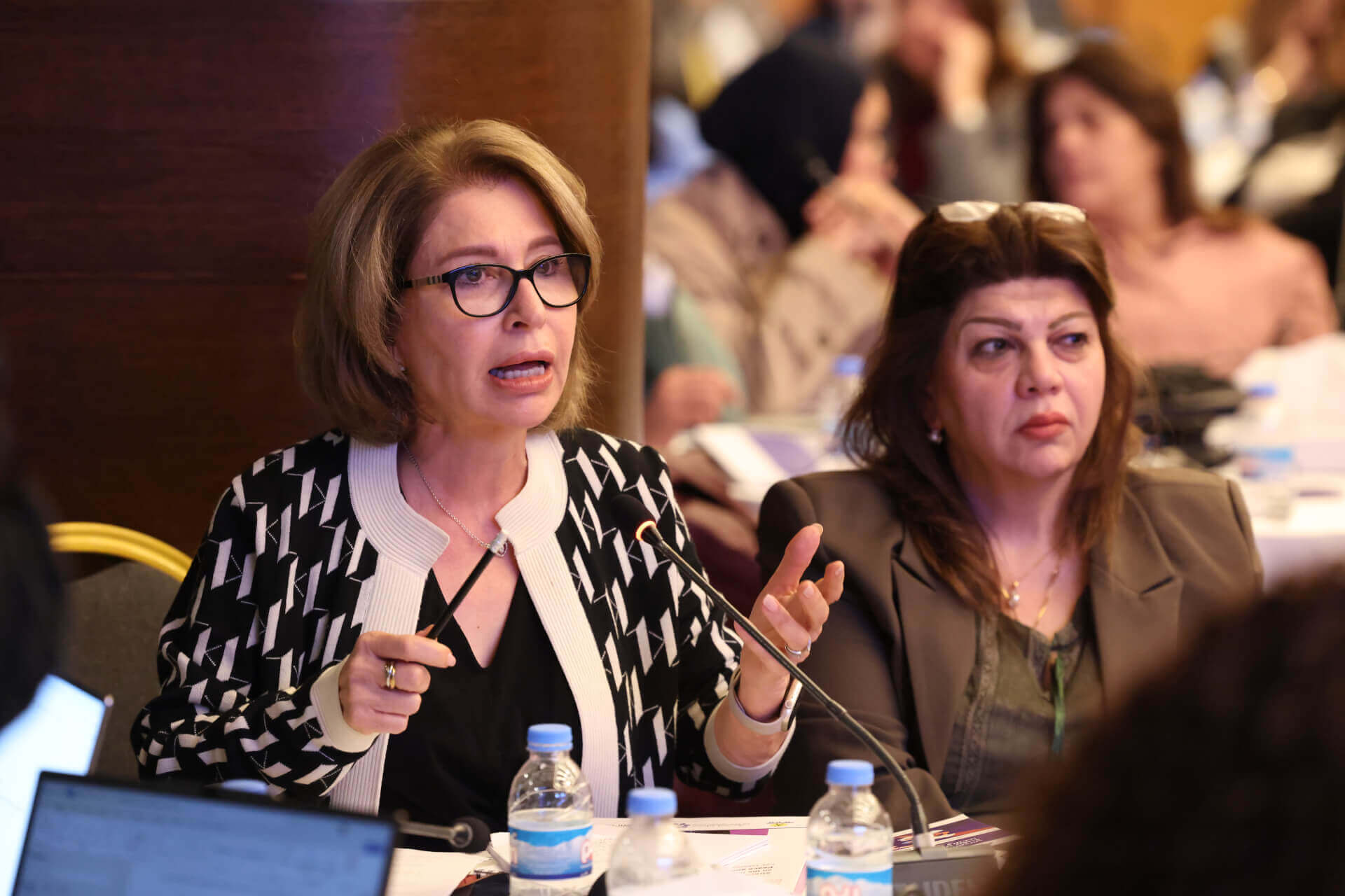 - | EFI - EuroMed Feminist Initiative