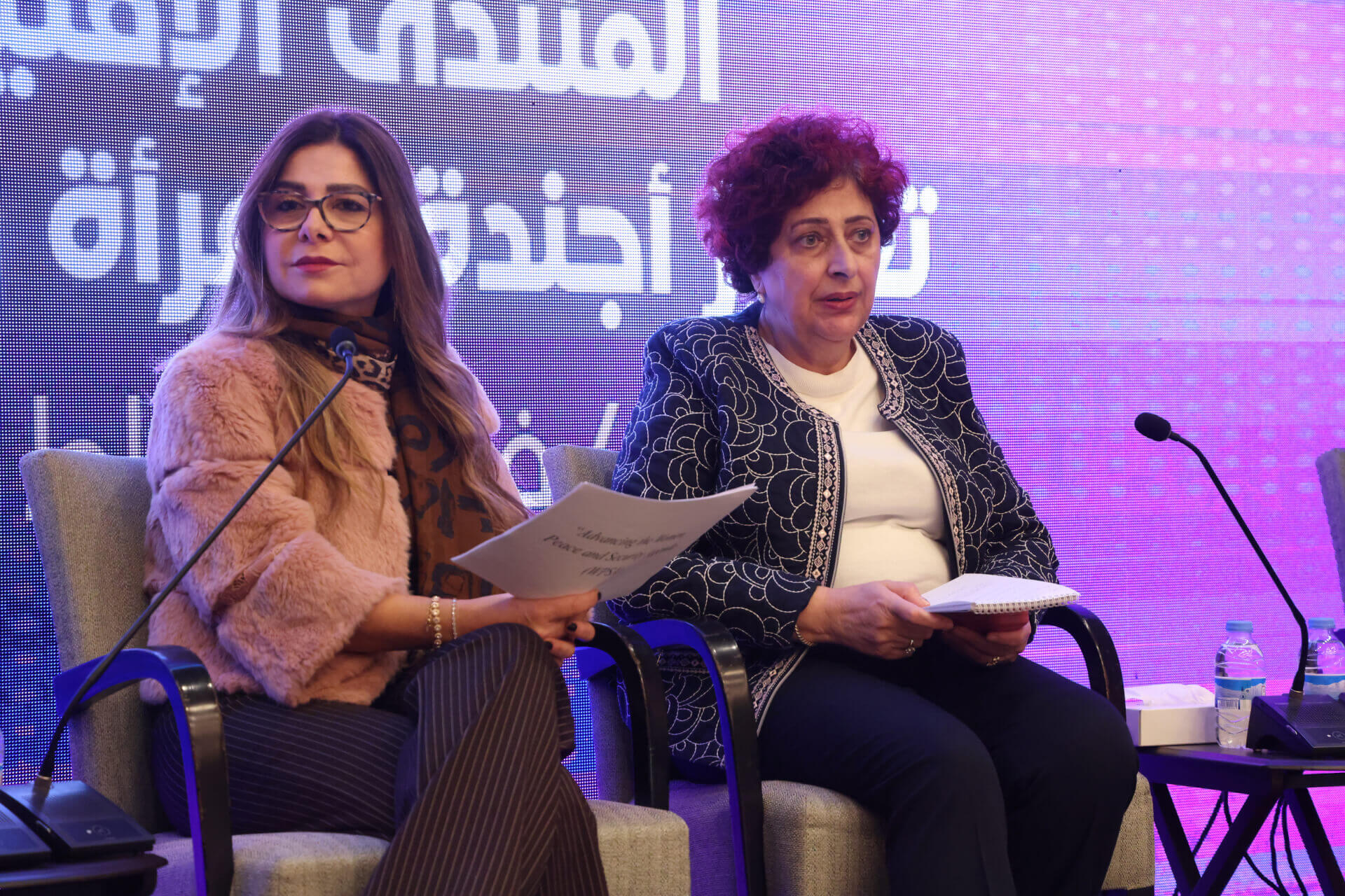 - | EFI - EuroMed Feminist Initiative