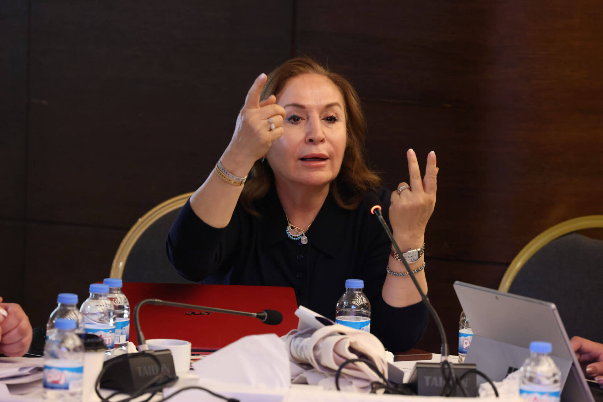 - | EFI - EuroMed Feminist Initiative