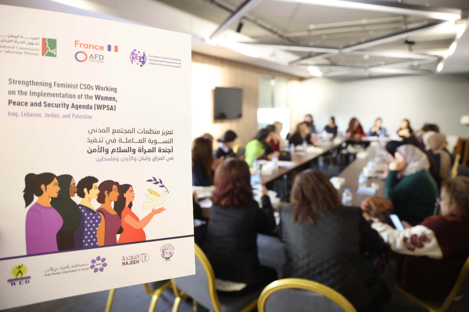 - | EFI - EuroMed Feminist Initiative