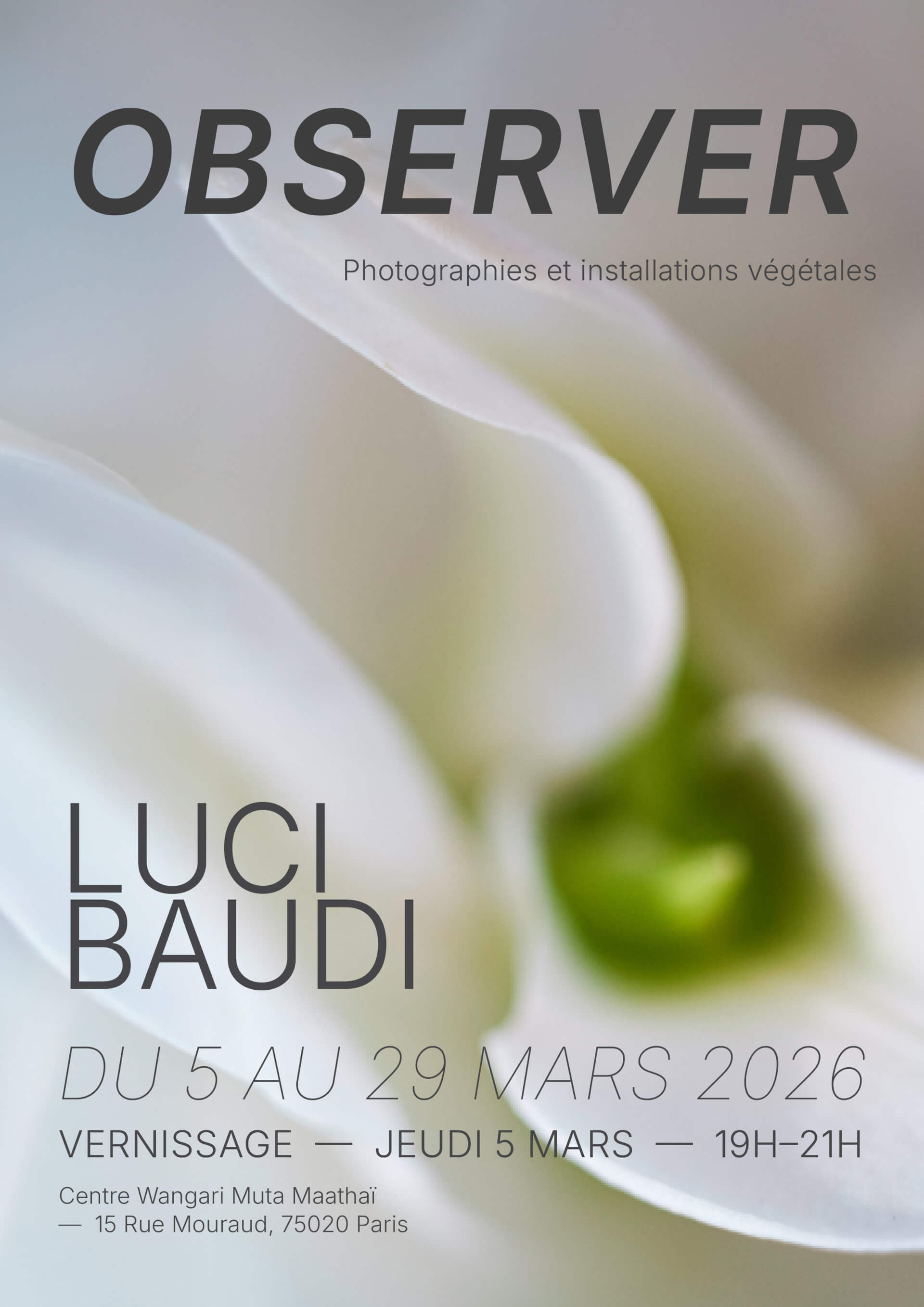 Vernissage Exposition "Observer" de Luci Baudi | Agenda du quartier