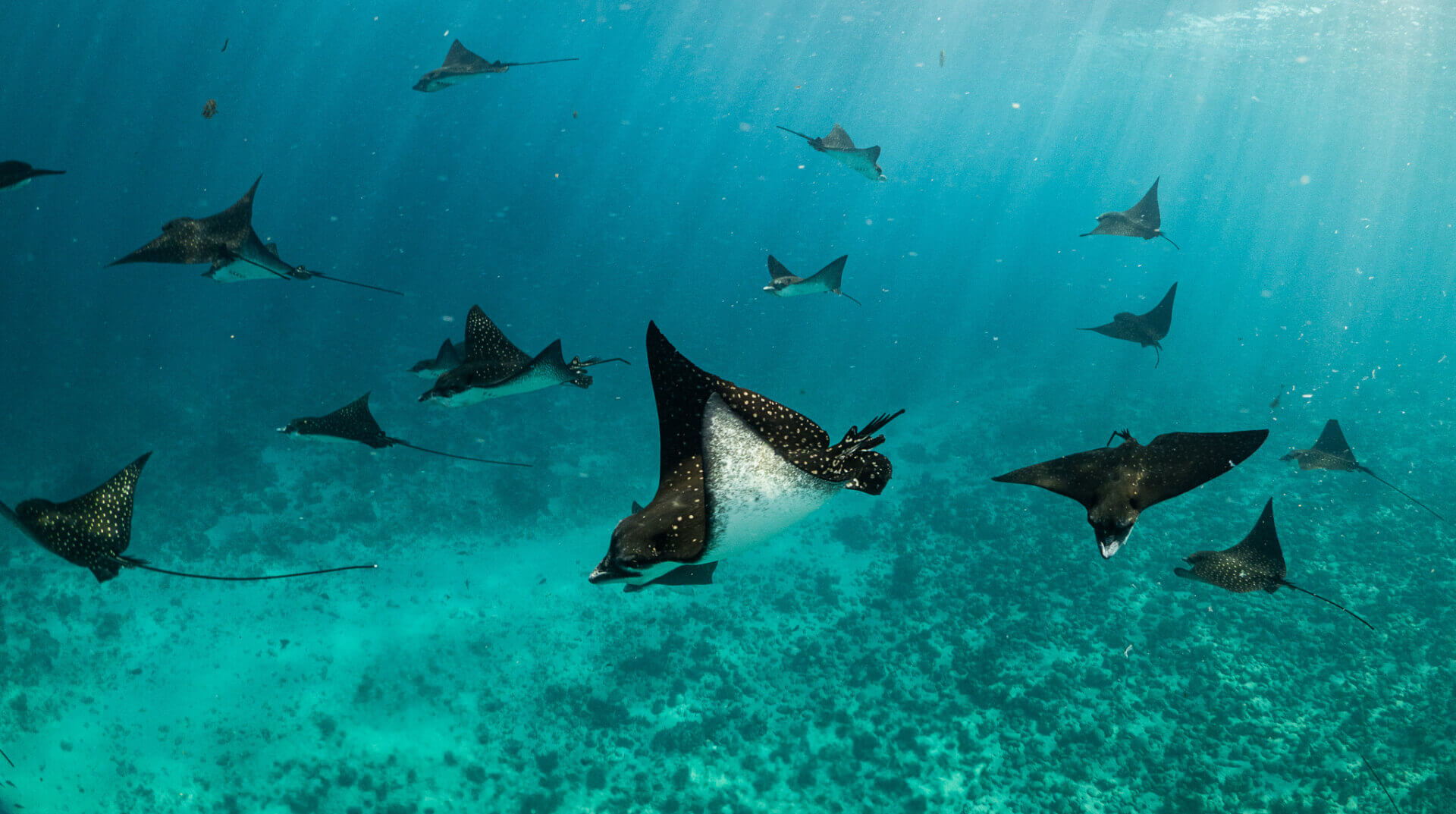 DSC05342 | SIR Cenote