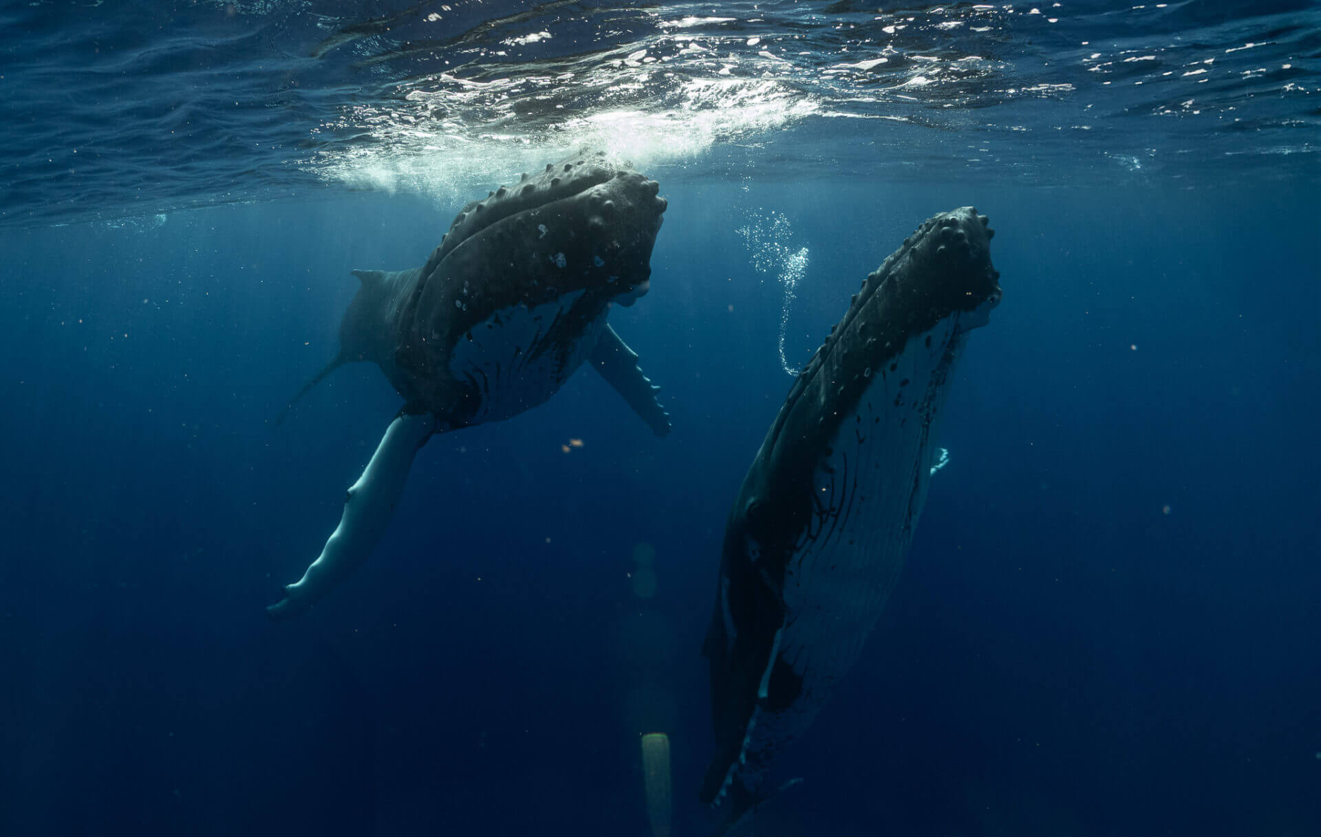 DSC04928 | SIR Cenote