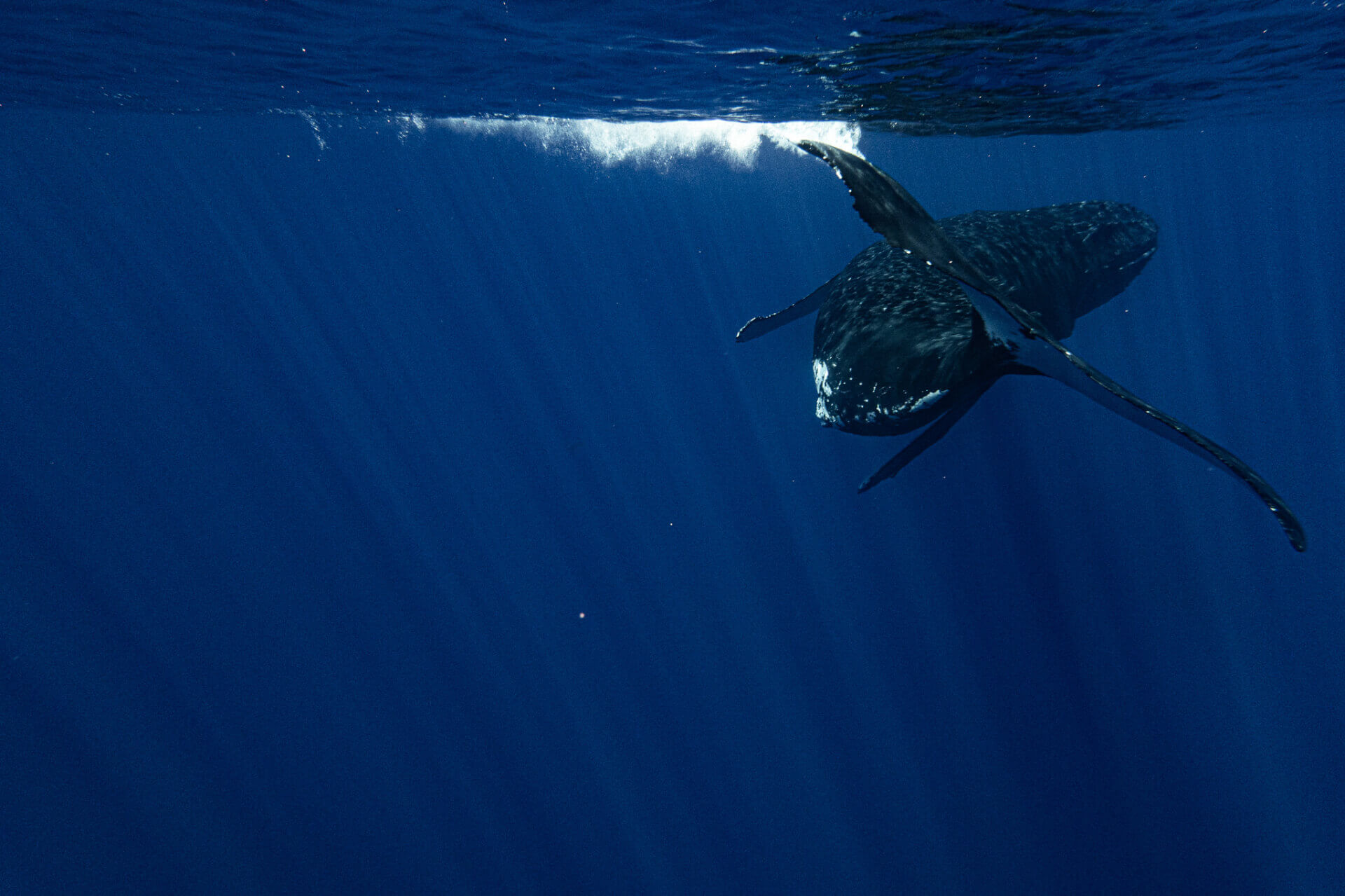 DSC04557 | SIR Cenote