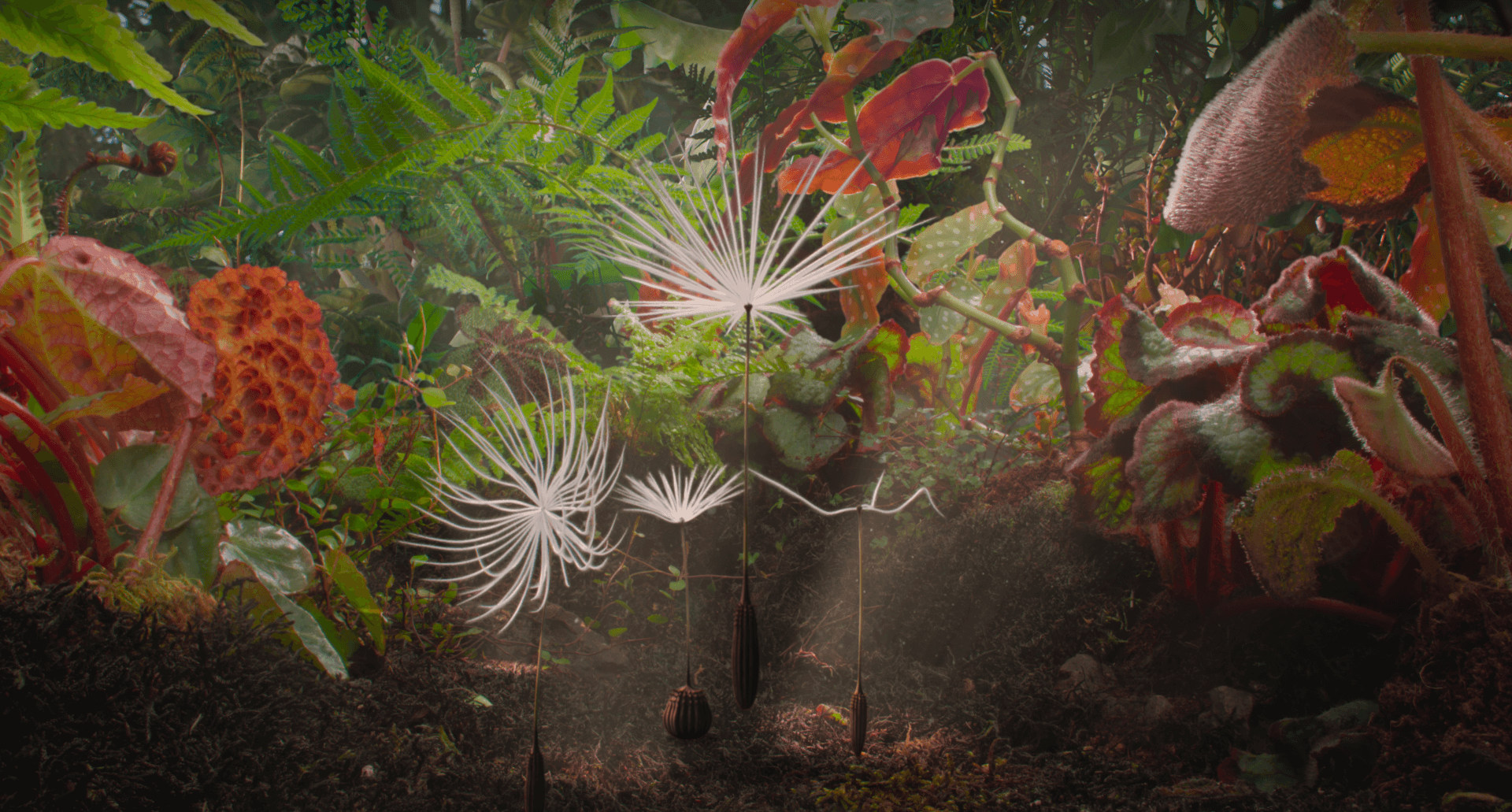 Planètes : Plongée dans le bijou poétique et organique de Momoko Seto (Les Toiles Filantes 2026) | TACK