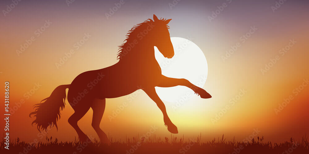 Ngựa, biểu tượng của tự do và quyền lực qua văn chương và hội họa phương Tây | Vietnam Fraternité