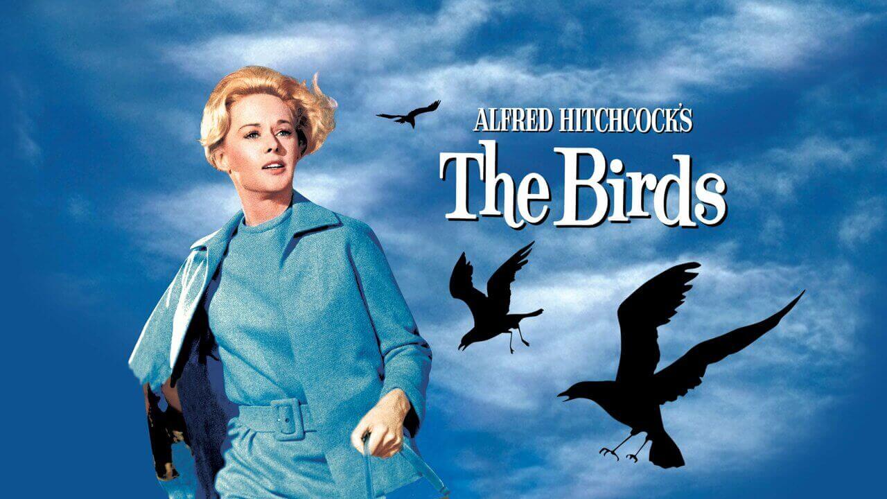 Les Oiseaux : La mélodie horrifique d'Alfred Hitchcock | TACK