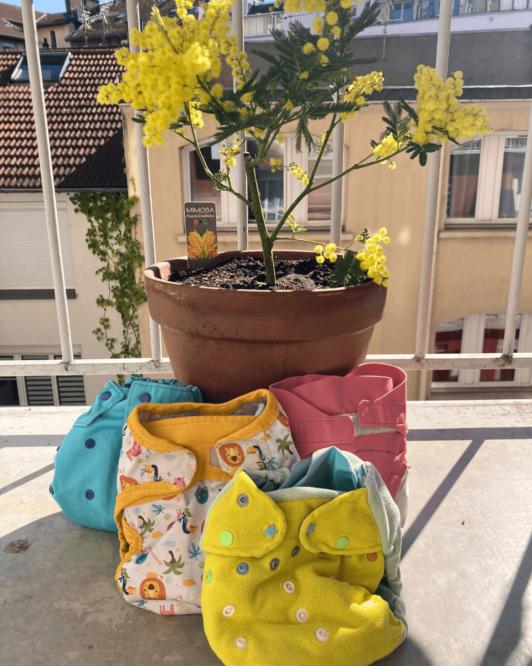 ATELIERS COUCHES LAVABLES MARS ET AVRIL | Tohu Bohu