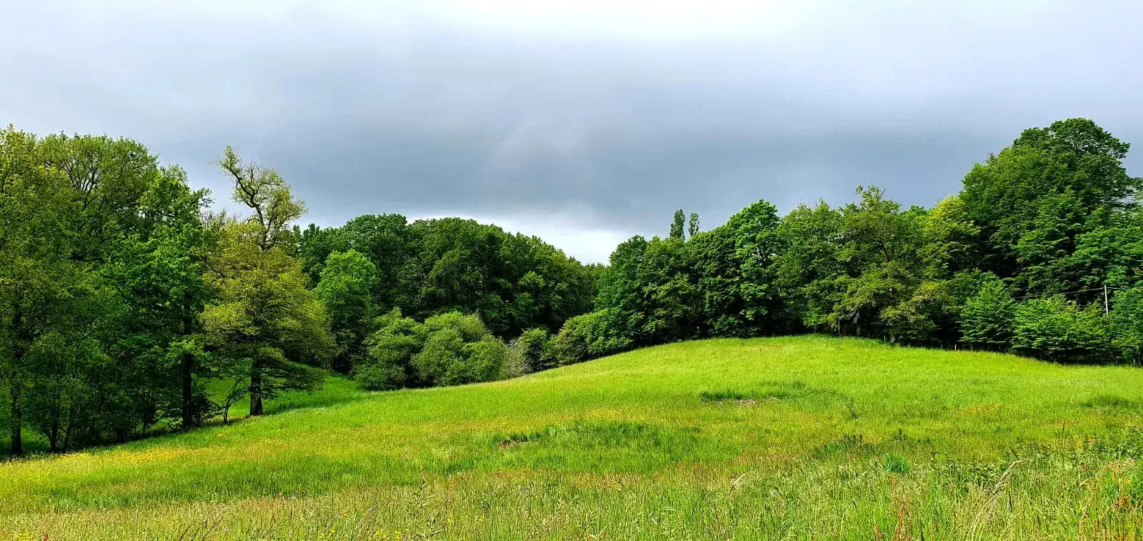 Membre Fantôme | TACK