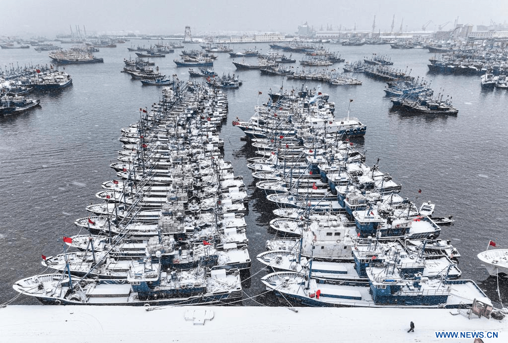 Trung Quốc tập trung bất thường đông đảo tầu cá ở biển Hoa Đông, gần Đài Loan | Vietnam Fraternité