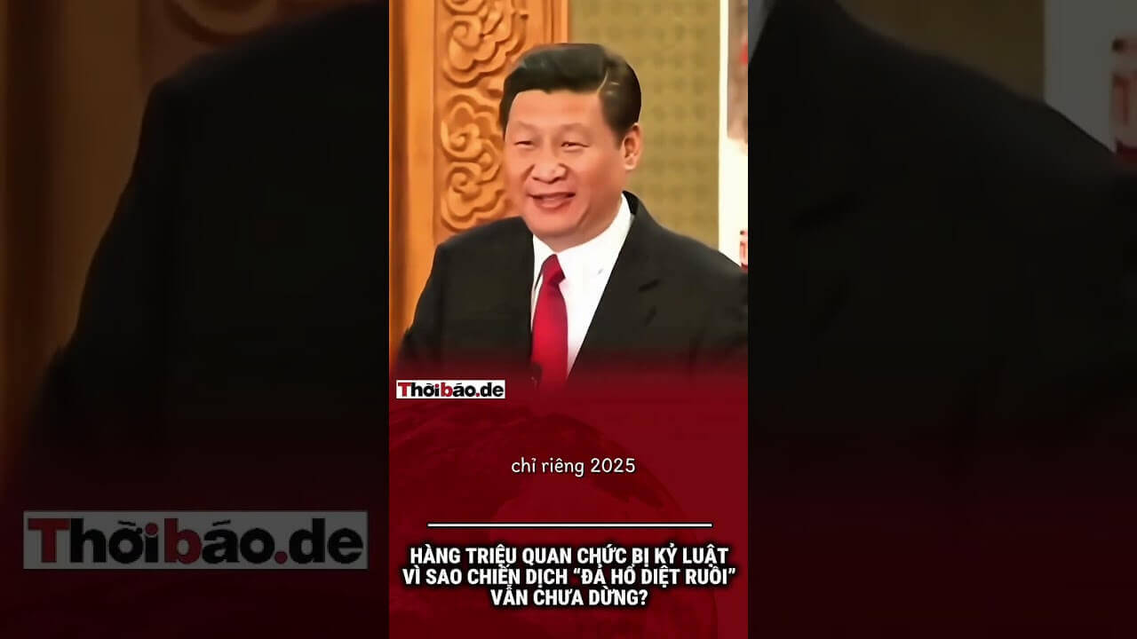 THU HỒI TIỀN NGHỈ HƯU TRƯỚC TUỔI, BUỘC ĐI LÀM TRỞ LẠI, AI CHỊU TRÁCH NHIỆM?