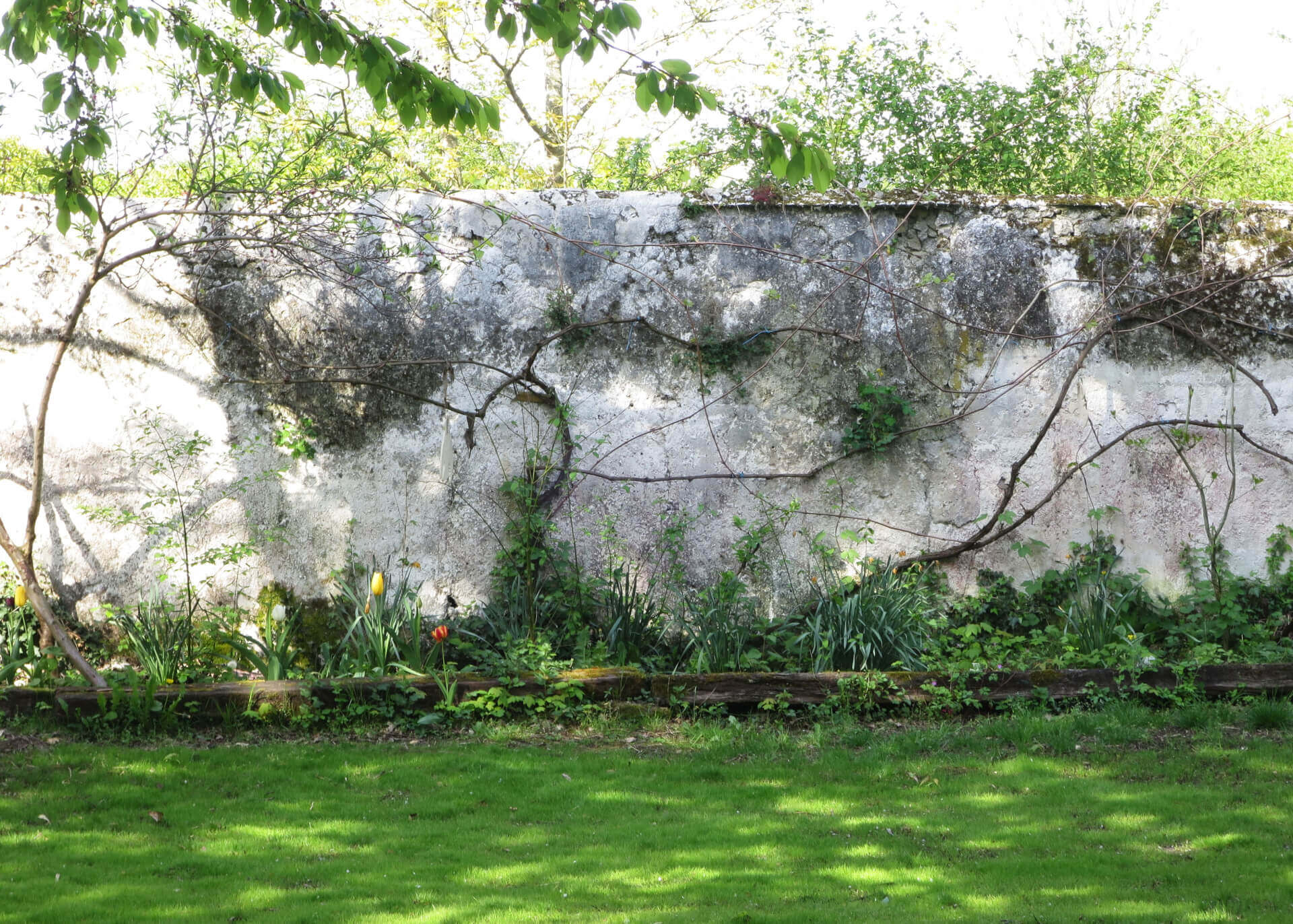 Médiation patrimoniale & chantiers | Lezarts Dans Les Murs