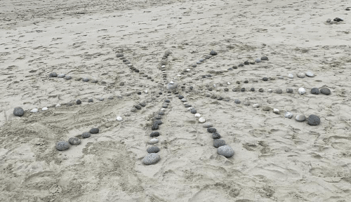 Yogathérapie et Land Art : Naissance d'une Rencontre Transformative | Impuls’Ions