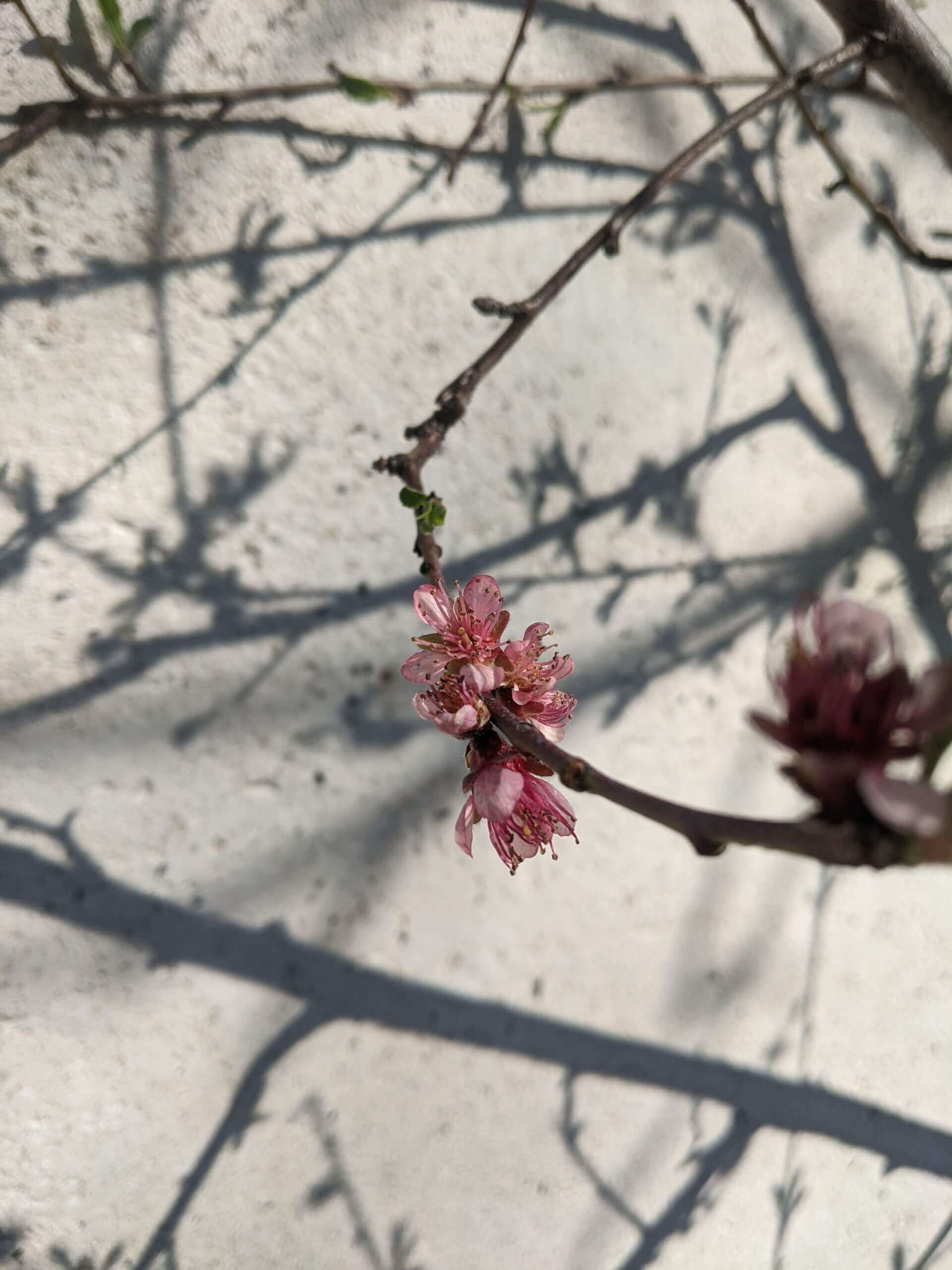 Lezarts Dans Les Murs