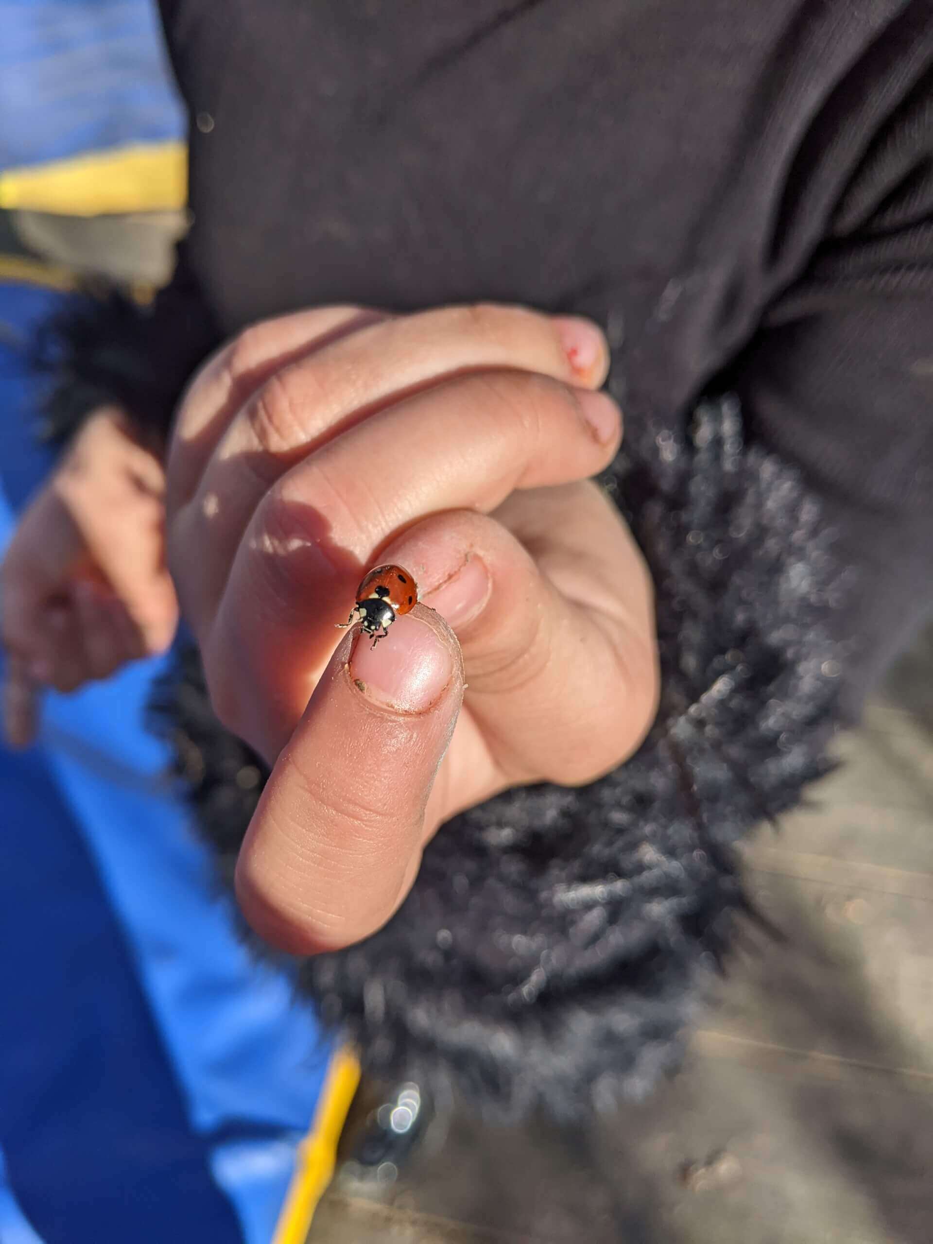 Lezarts Dans Les Murs