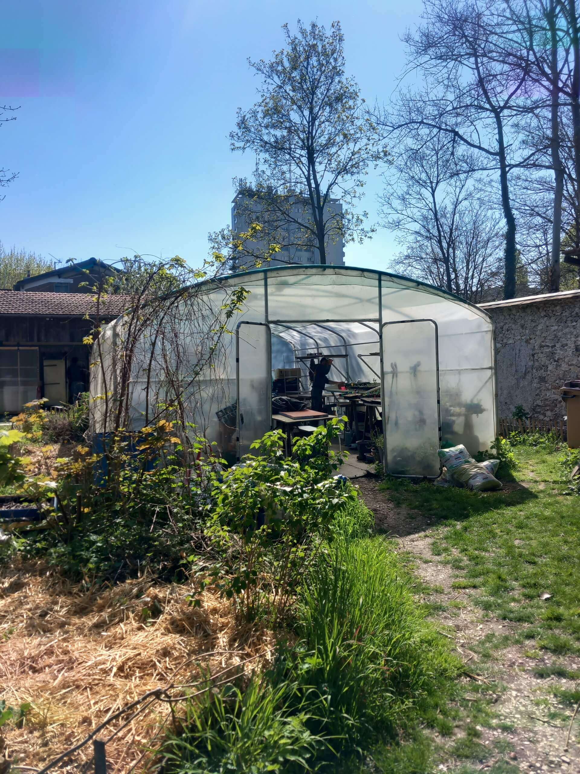 Lezarts Dans Les Murs