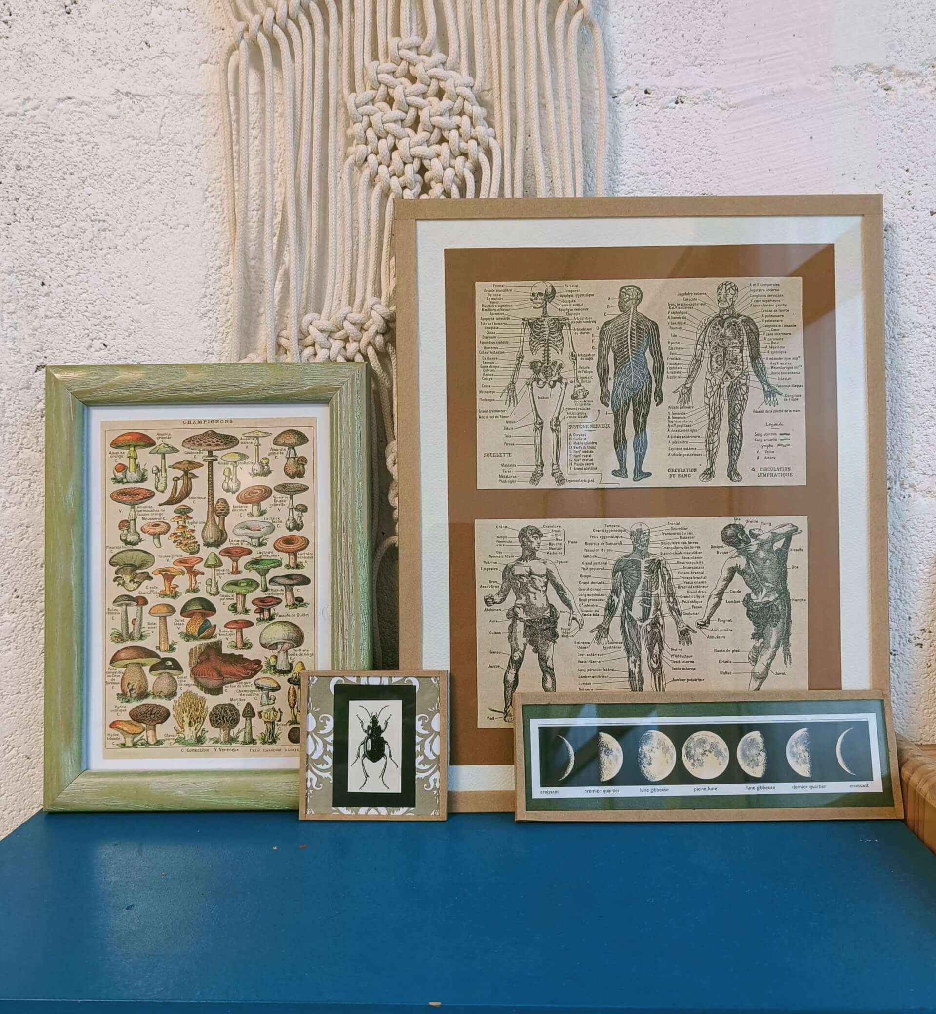 ATELIER / Encadrement / 5€ | La Venelle