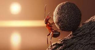 Luật của kẻ mạnh luôn thắng thế : dân Việt Nam không có tiếng nói | Vietnam Fraternité