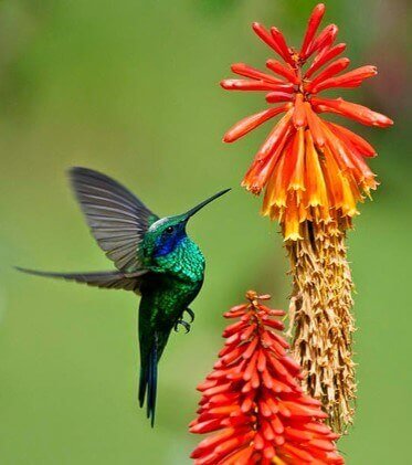 spectacle écolo-musical - Demain, demain | La Venelle