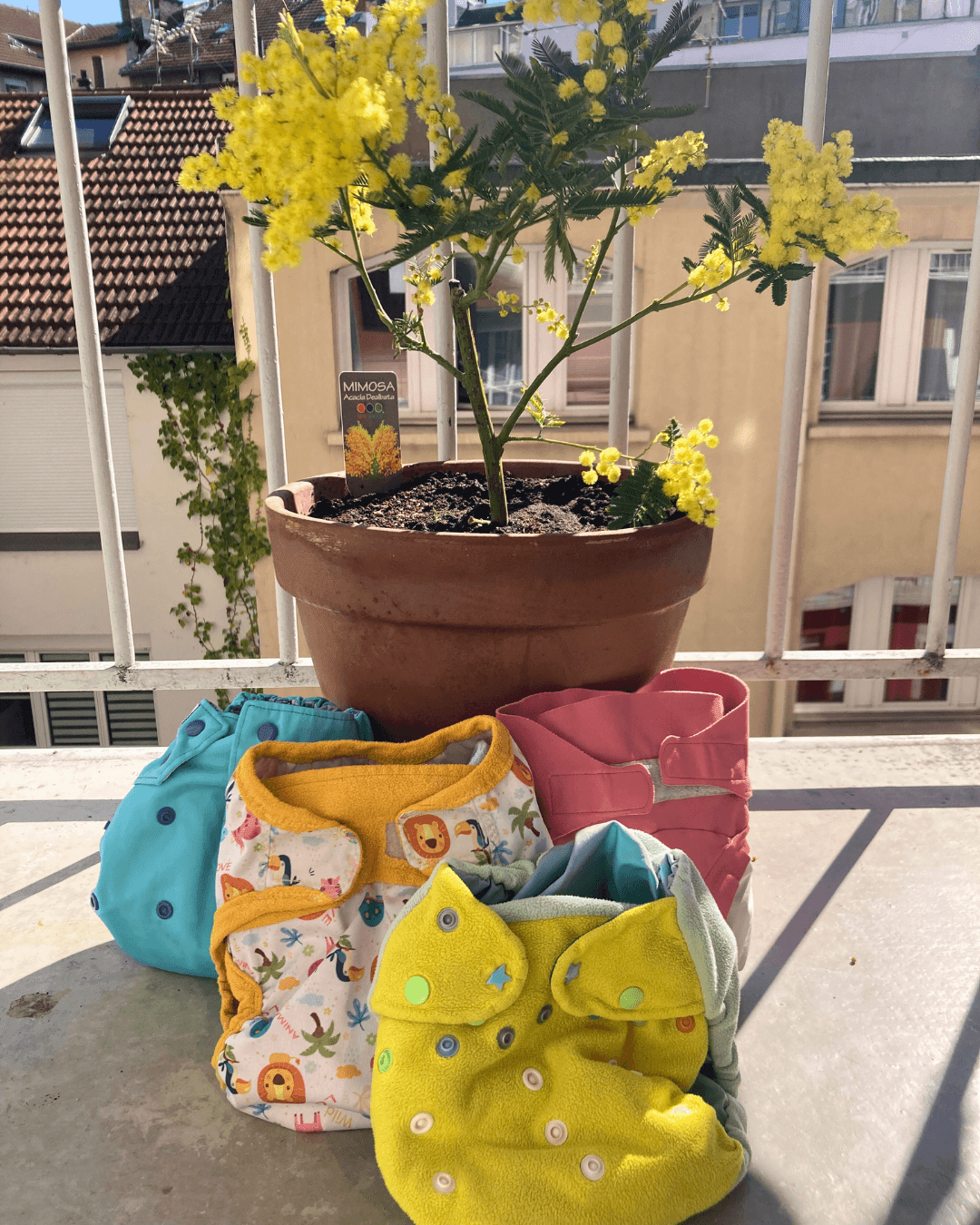 PROCHAINS ATELIERS COUCHES LAVABLES | Tohu Bohu